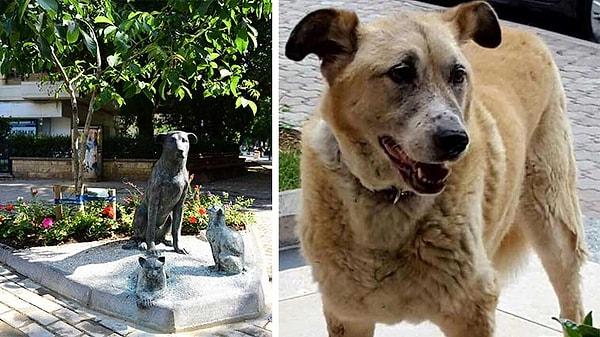 3. Kadıköy'lülerin hayvan sevgisi meşhurdur. Bu da kedi dostu Tommy'nin heykeli. Öyle ki onu kedi emzirirken görenler bile olmuş. Tommy'nin heykeli Fenerbahçe Dalyan'da.