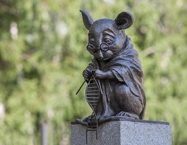 BONUS 2: Rusya'da bulunan bu fare heykeli de oldukça manidar. Bilime hizmet eden laboratuvar farelerini onurlandırmak için yapılmış.