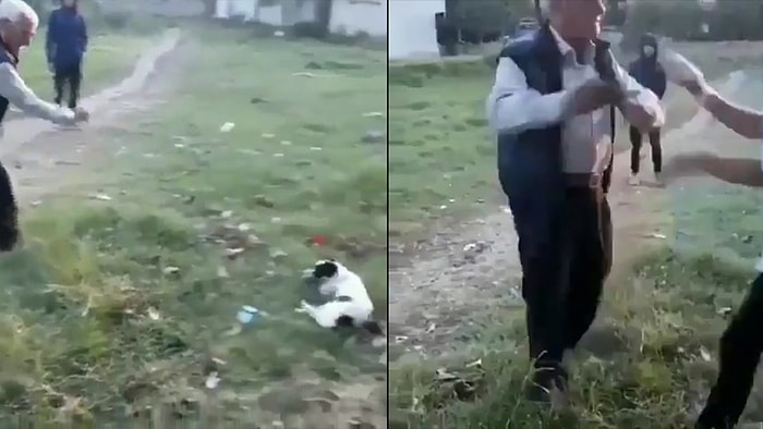 Önce Köpeğe Sonra da Kendisini Engellemeye Çalışan Çocuğa Taş Fırlatan Kişi!