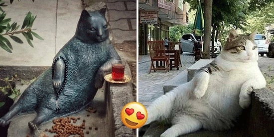 Hep Yaşayacaksınız! İç Burkan ve Yürek Isıtan Hikayeleriyle Heykeli Dikilmiş 11 Ölümsüz Hayvan