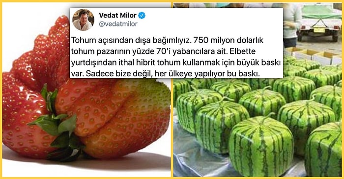 Tarım Nereye Gidiyor? Yerli Tohumla İlgili Açıklanmayan Gerçekleri Duyduktan Sonra Komplo Teorilerinden Arınacaksınız!