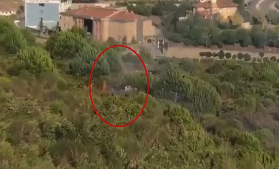 Şüpheli Kamerada: Pendik'te Çıkan Orman Yangını ile İlgili Bir Kişi Gözaltında