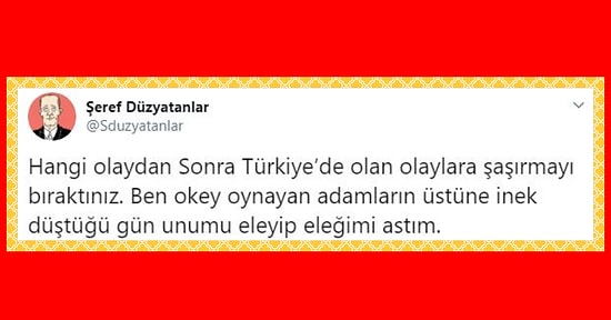 Hangi Olayın Ardından Türkiye'de Yaşananlara Şaşırmayı Bıraktıklarını Söylerken Hem Güldüren Hem de Düşündüren İnsanlar