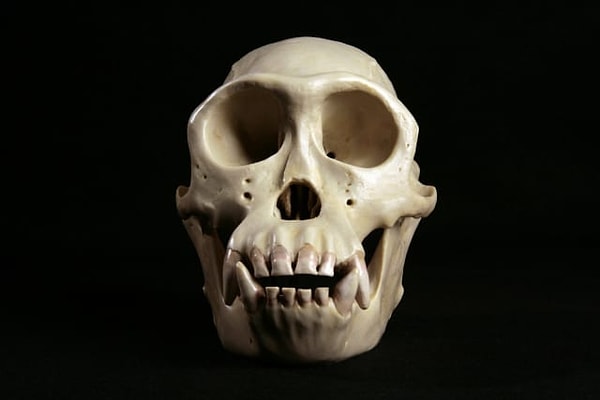 12. И последний :)