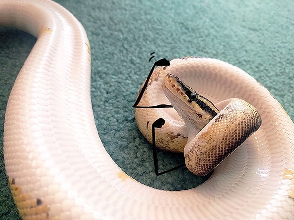 30. "Выходи, если мужик"