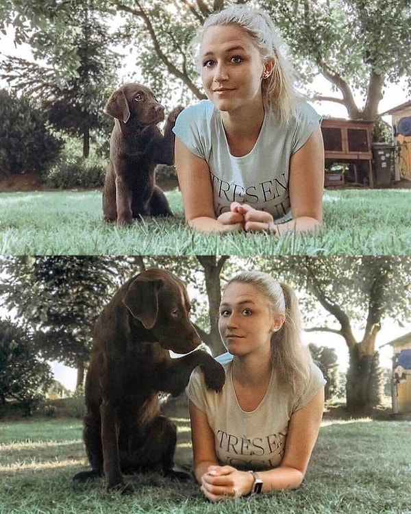 7. А взгляд у собаки все тот же :)