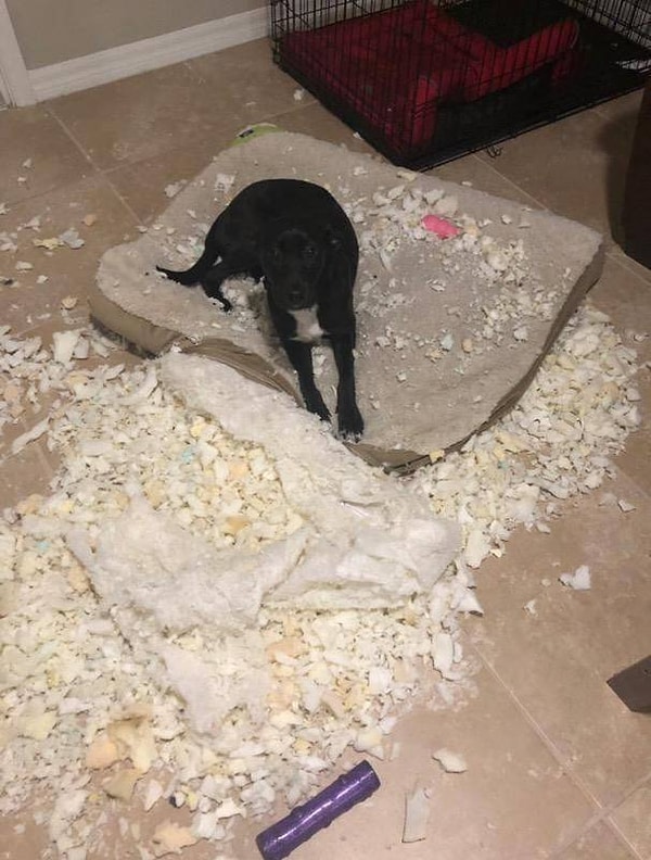 15. Да что вы знаете о неудачном дне?!