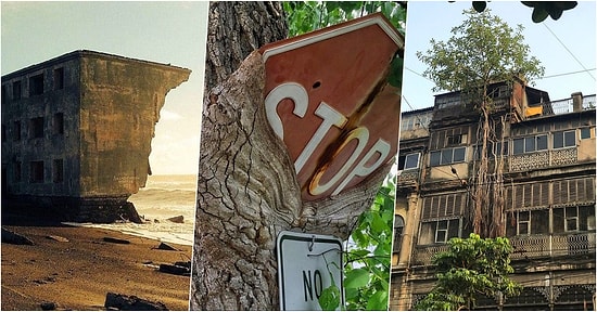 Doğanın Kendisine Ait Olanı Söke Söke Geri Aldığının Kanıtı Son Derece Etkileyici Fotoğraflar