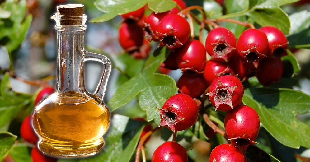 Sağlıklı Sirkeler Yapmanın Tam Zamanı: Alıç Sirkesi  Tarifi Nedir, Nasıl Yapılır ve Kullanılır?