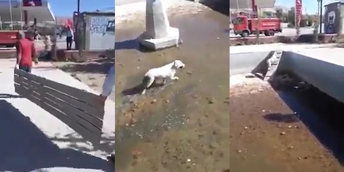 Elazığ’da Nefesleri Kesen Köpek Kurtarma Operasyonu