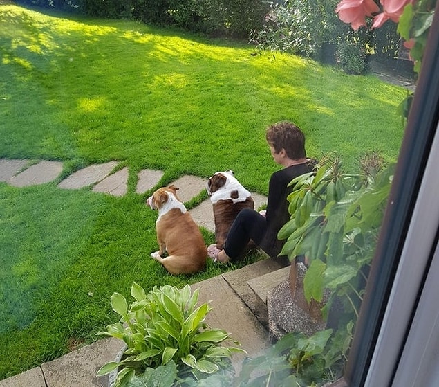 14. "Annem ve köpeklerimiz her gün kapının önünde babamın işten dönüşünü beklerler."