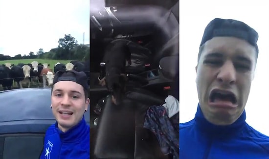 Arabayı İçeriden Kilitleyen Köpeğine Kapıları Açtırmaya Çalışırken Bir Yandan Eğlenen Adam