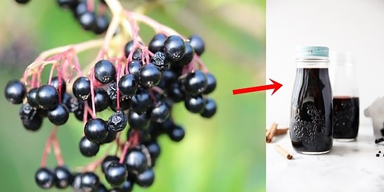 Soğuk Algınlığını Mucizevi Şekilde Durdurabilen Mürverin Sağlığa Daha Birçok Faydası Var!