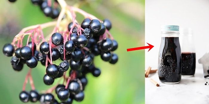 Soğuk Algınlığını Mucizevi Şekilde Durdurabilen Mürverin Sağlığa Daha Birçok Faydası Var!