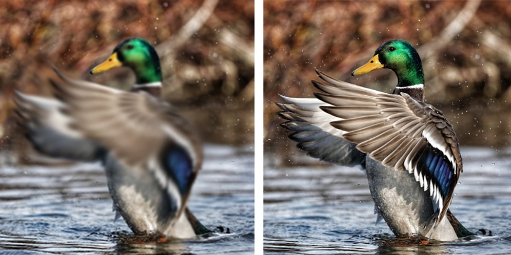 Bir Kamera Fotoğrafın Kalitesini Ne Kadar Değiștirebilir Sorusunun Cevabı Olan 8 Görsel