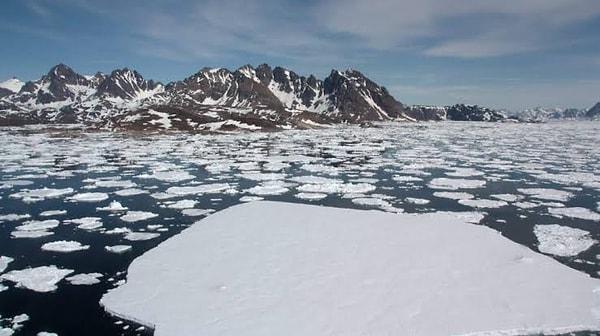 Meteorologlar, buz kaybını “korkutucu” olarak nitelendirdi. Bilim insanları ise Kuzey Kutbu'nun hangi bölümünün en uzun süre ısınmaya dayanacağı konusundaki teorilerini gözden geçirmeye başladı bile.