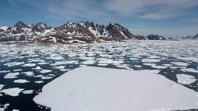 Meteorologlar, buz kaybını “korkutucu” olarak nitelendirdi. Bilim insanları ise Kuzey Kutbu'nun hangi bölümünün en uzun süre ısınmaya dayanacağı konusundaki teorilerini gözden geçirmeye başladı bile.