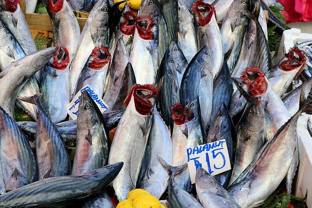 Balık satıcıları gözlerin çok şey anlattığını ifade ediyor.