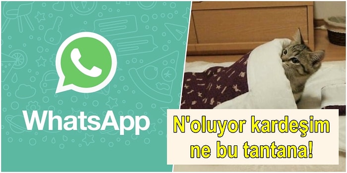 Herkes Bu Kadar Panik Yaptı Ama WhatsApp Son Görülme Özelliği Gerçekten Kaldırıldı mı?