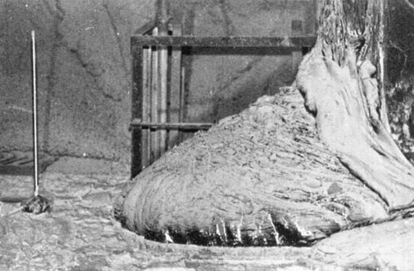 Çernobil'deki nükleer enerji istasyonunun dördüncü reaktöründe gerçekleşen patlamanın ardından ortaya çıkan radyoaktif atıklar ve yüksek ısı nedeniyle eriyen diğer maddelerin birleşmesi ile ortaya çıkan 'Fil Ayağı' tıpkı adı gibi bir filin ayağını anımsatıyor.