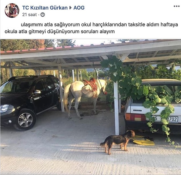 1. Alternatif ulaşım araçları.