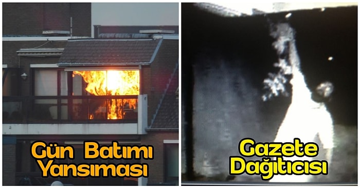 İlk Bakışta Size Küçük Çaplı Bir Kalp Krizi Geçirtip Aklınızdan Şüphe Etmenize Neden Olacak 25 İlginç Fotoğraf