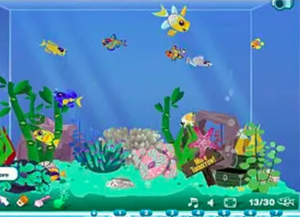 Happy Aquarium