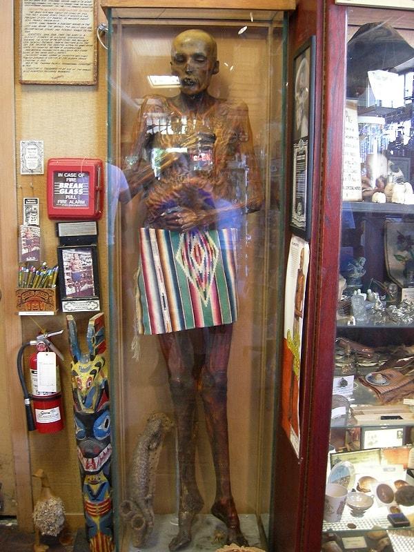 2. Mumya 'Sylvester'. Bir Antika Dükkanı, Seattle, Washington.