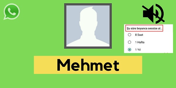 Seni WhatsApp'ta sessize alan kişi Mehmet!