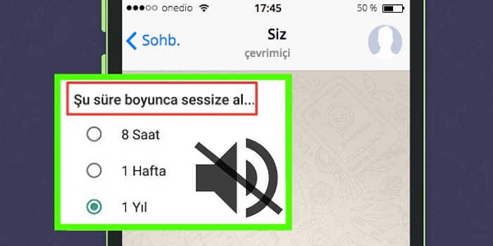 WhatsApp’ta Seni Sessize Alan Kişinin Adını Söylüyoruz!