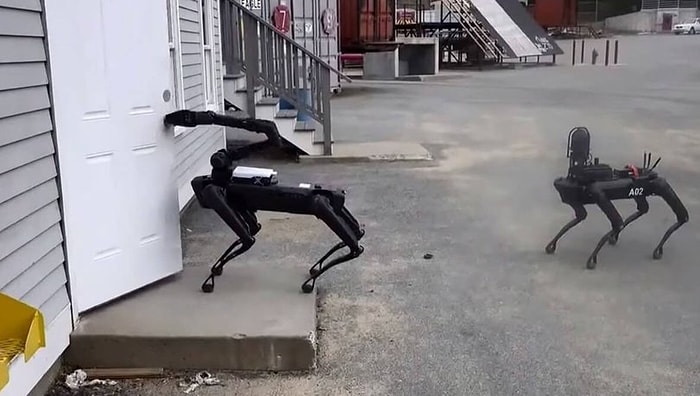 Artık Aktif Görevdeler: Boston Dynamics'in Robot Köpekleri, Polisin Bomba İmha Birimine Katıldı