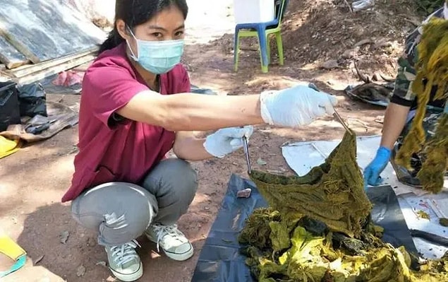 Yapılan incelemede, geyiğin midesinden kahve paketi ve erkek iç çamaşırı dahil 7 kilogram çöp ve plastik madde çıkarıldı.