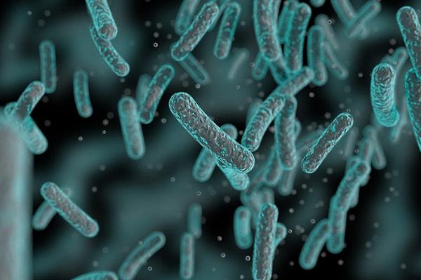 6. Düşündüğümüzden daha fazla mikrobiyom bakterisi var.