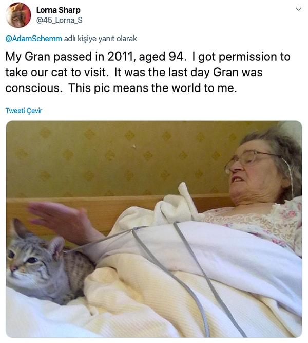 10. "Büyükannem 2011'de 94 yaşında hayatını kaybetti. Kedimizi ziyaretine götürmek için izin aldım. Bilincinin açık olduğu son gündü, bu fotoğraf benim için dünyaları ifade ediyor."