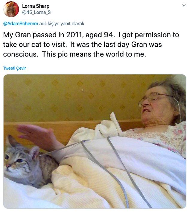 10. "Büyükannem 2011'de 94 yaşında hayatını kaybetti. Kedimizi ziyaretine götürmek için izin aldım. Bilincinin açık olduğu son gündü, bu fotoğraf benim için dünyaları ifade ediyor."