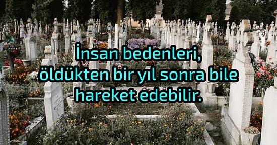Dünya Hızla Değişirken Geçtiğimiz 10 Yılda Öğrendiğimiz Hayrete Düşüren 20 Gerçek