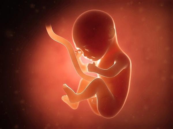 Bebek daha doğmadı, ne anlayacak sanki olup bitenden diye düşünmeyin. Çünkü bilim insanları bunun aksini söylüyor...