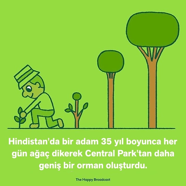 12. 🏡🌳