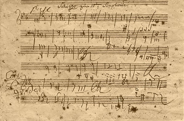 Матиас Рёдер, директор Института Караяна, который координирует проект, говорит, что даже он удивлен успехам, которые они уже смогли достичь.