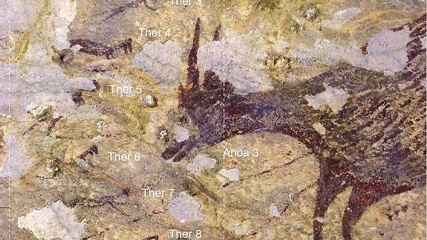 Haftaya bomba gibi bir haberle başlayalım... 44.000 yıllık dünyanın en eski mağara resimleri keşfedildi!