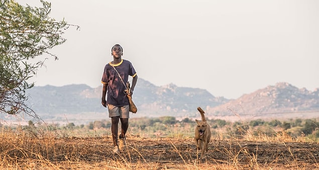 12. The Boy Who Harnessed the Wind (2019)