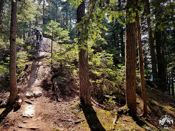 "Поэтому мы планируем продолжать жить таким образом в ближайшие годы.”