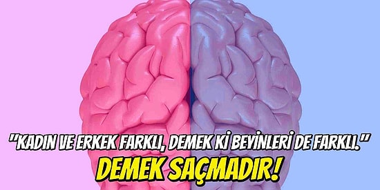 Kendini Karşı Cinsten Zeki Zannedenler, Üzgünüz! Kadın ve Erkek Beyni Arasında Gerçekten Fark Var mı?
