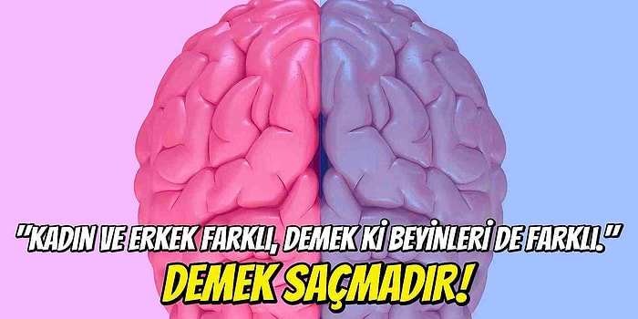 Kendini Karşı Cinsten Zeki Zannedenler, Üzgünüz! Kadın ve Erkek Beyni Arasında Gerçekten Fark Var mı?