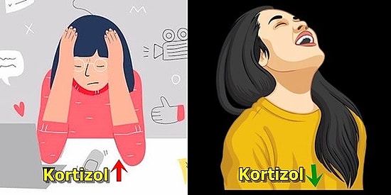 Stresinizi Kortizol Seviyenizi Dengeleyerek Azaltabileceğinizi Biliyor muydunuz?