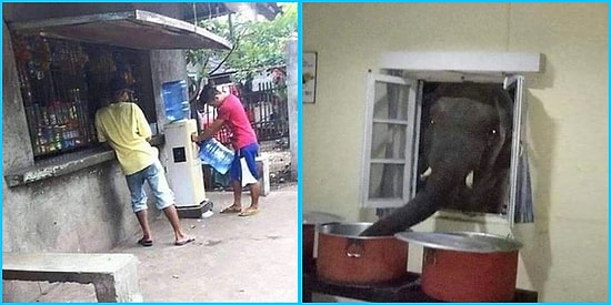 Görenin Kafasını Allak Bullak Edip "Neden?" Diye Sorgulatacak Birbirinden Anlamsız 19 Kare