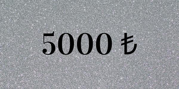 5000 ₺!