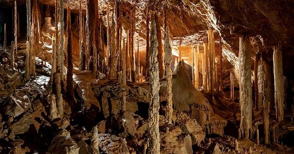 72. Bu Carsten Peter fotoğrafı ise yine Borneo'da bir mağaradan.