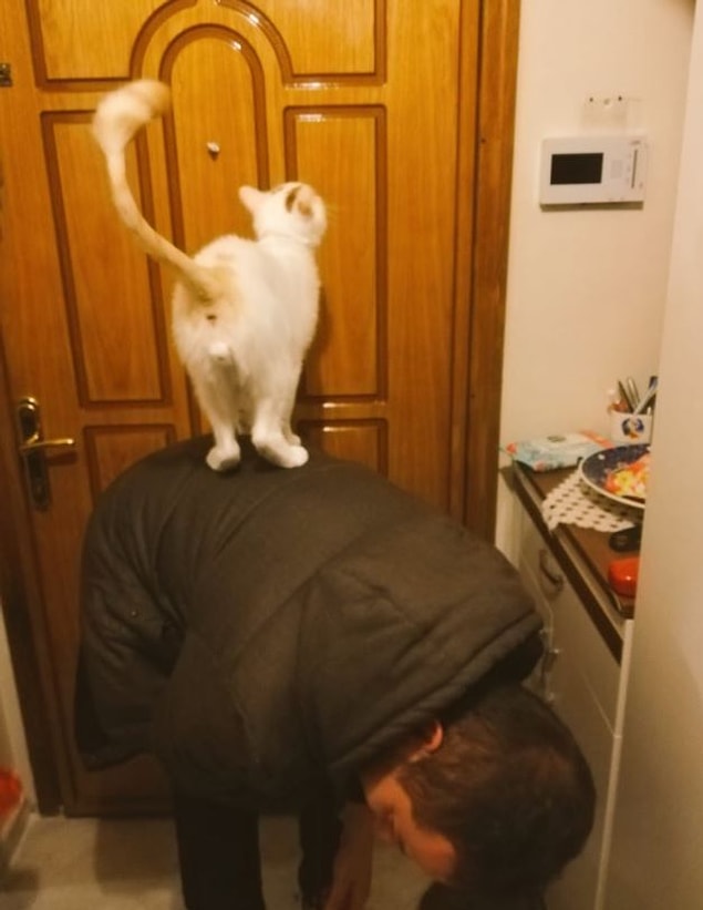 23. Dışarı çıkacak diye heyecanlanmış. :)