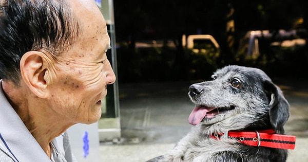 4. 'The Vet Friends Foundation' isimli kuruluş yalnız yaşayan eski savaş gazilerini ve evsiz köpekleri bir araya getirdi. Köpeklerin bütün bakımlarını üstlendi. Şimdi onlar da yalnız değil ❤️